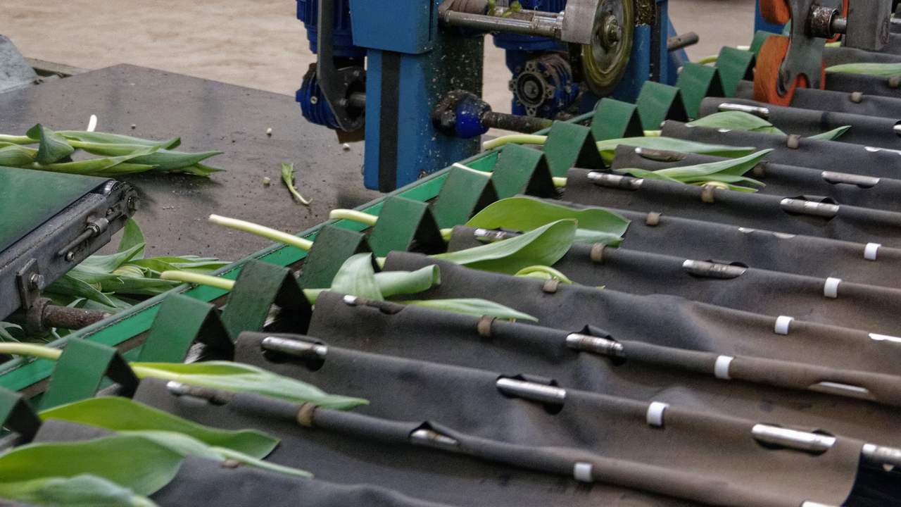 20140417 145637•Medemblik•North Holland•Netherlands